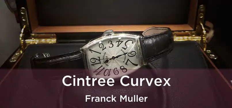  Cintree Curvex Franck Muller